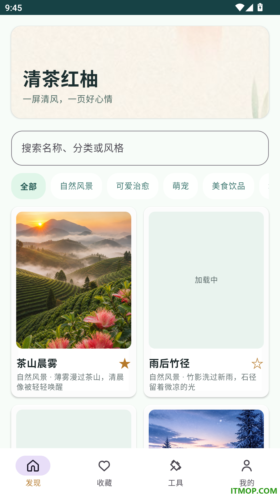 清茶红柚官方版