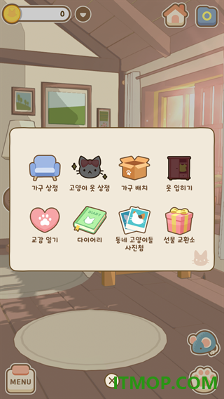 窗外的猫国际服