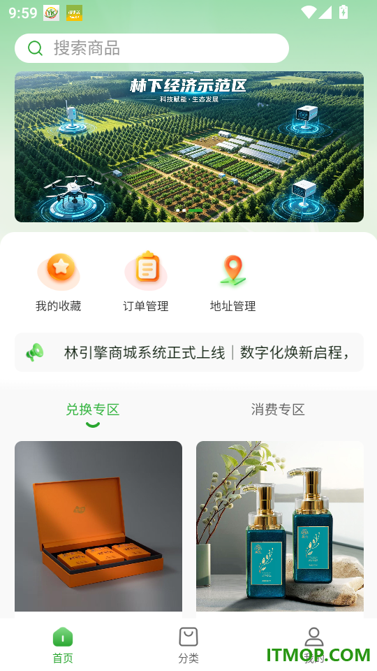 林引擎手机版