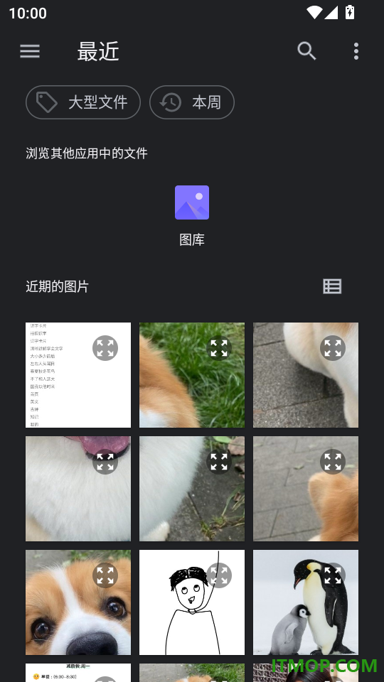 同声翻译官最新版本