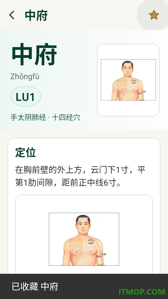 穴位经脉大全最新版
