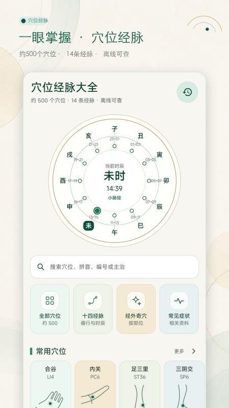 穴位经脉大全最新版v1.0.0 5