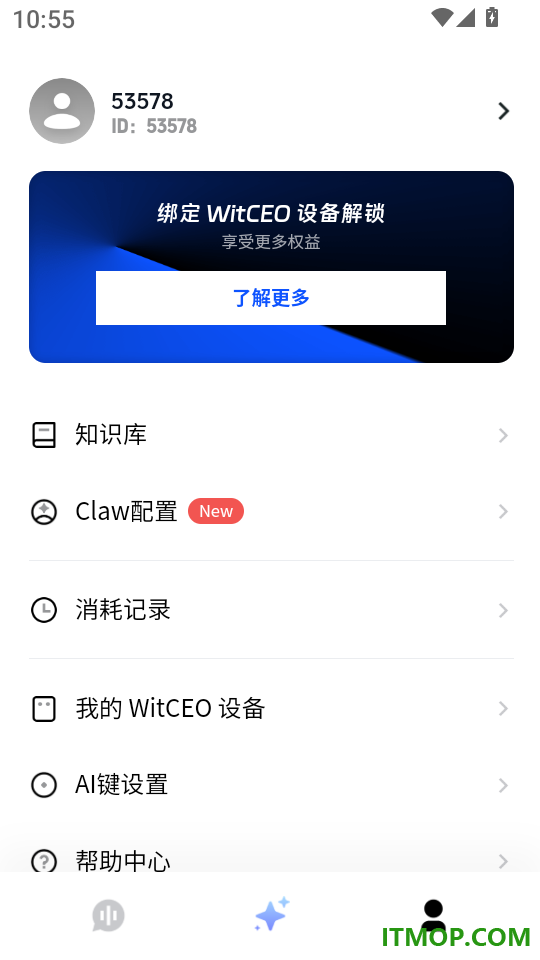 WitCEO官网版