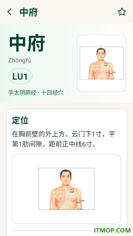穴位经脉大全最新版