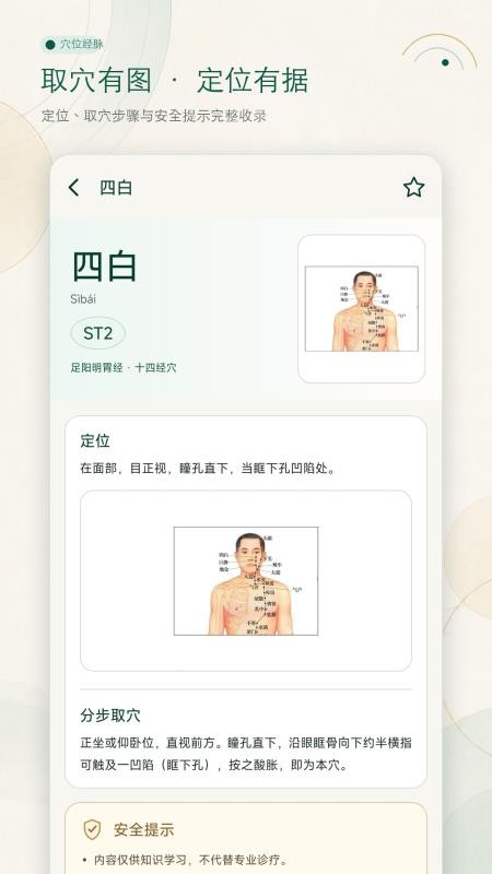 穴位经脉大全最新版v1.0.0 2