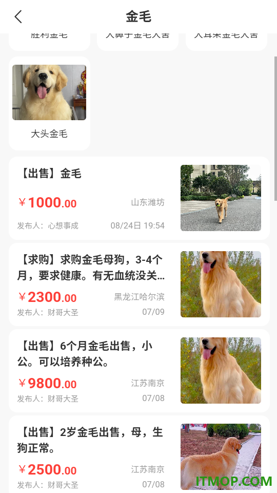 犬友汇最新版