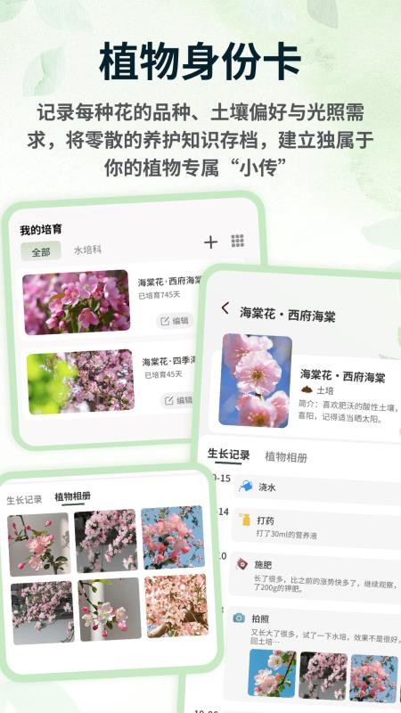 春色满园子手机版v1.0.4(1)