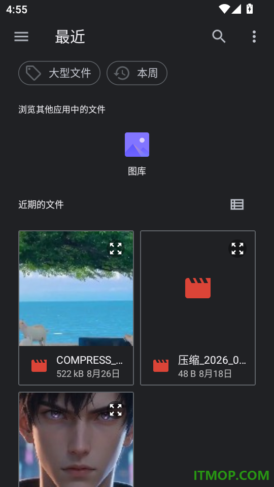 实况Live转换器最新版