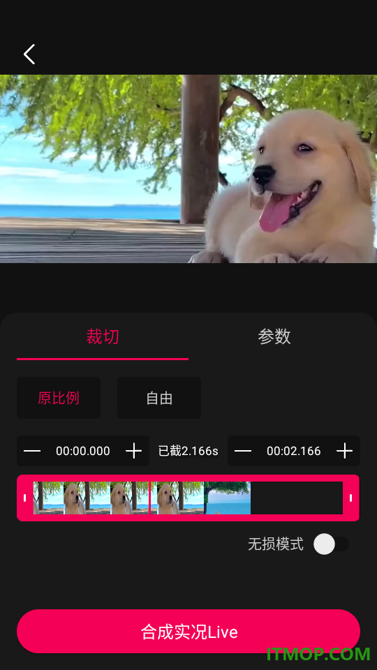 实况Live转换器最新版
