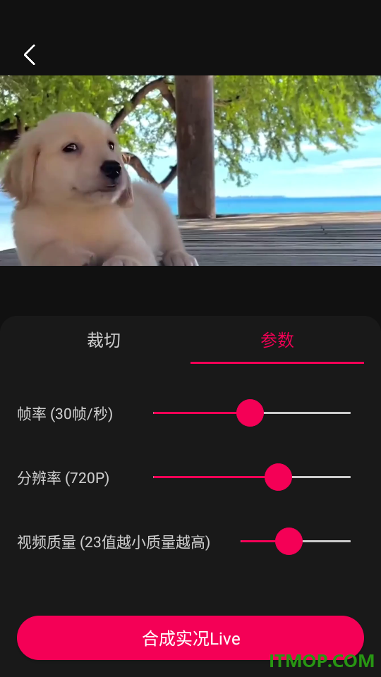 实况Live转换器最新版
