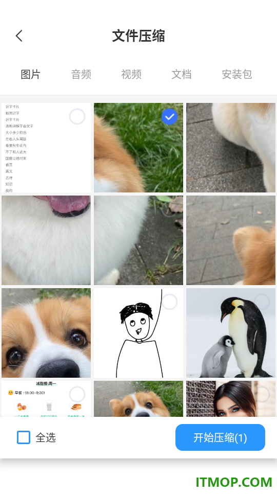 解压免费专家手机版