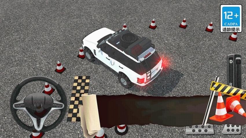 真实模拟司机驾驶游戏v8.0.0(5)