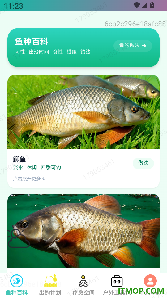霄云畅钓手机版