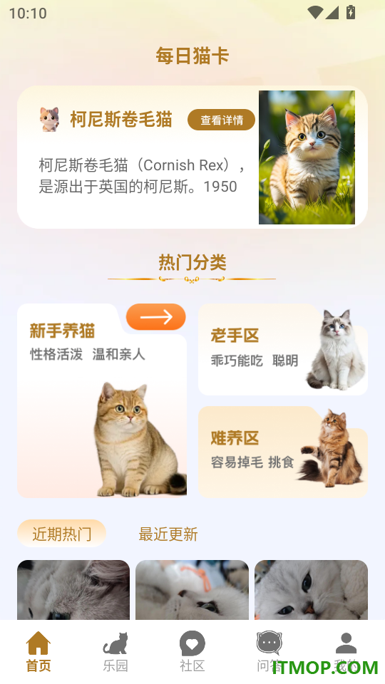 清风养猫官方版