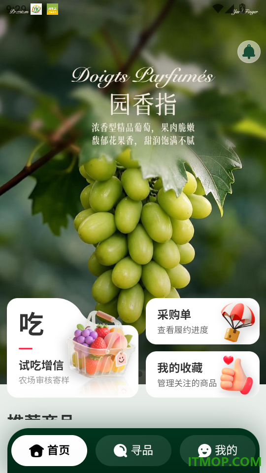 刺猬搬搬最新版