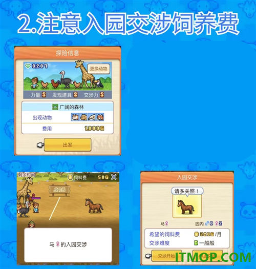 探险顽皮动物园游戏