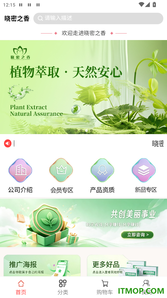 晓密之香免费版