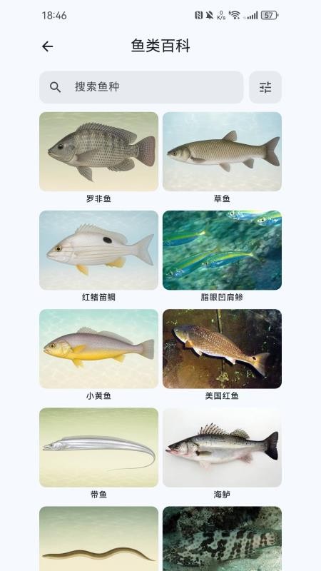 渔在哪客户端v1.4.1 3