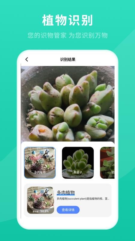 拍照识别(拍啥都行)最新版v11.2.0(2)
