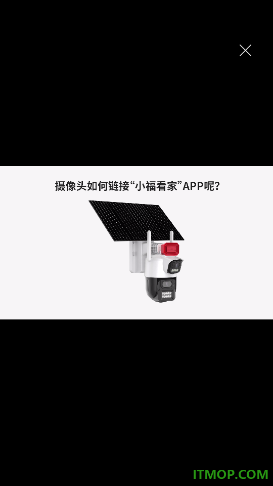 小福看家最新版