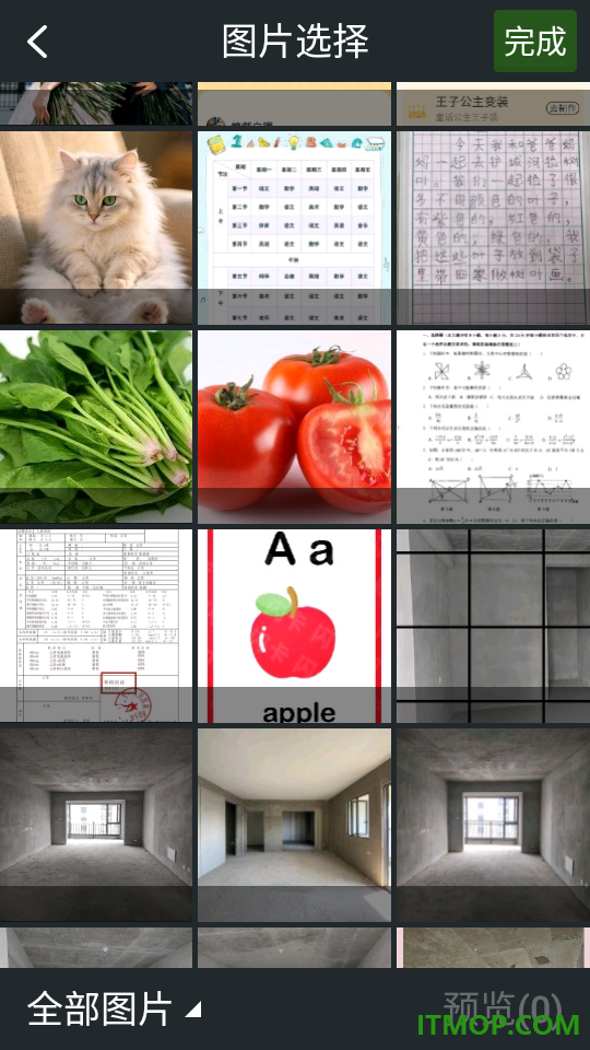 萌宠天团官方版