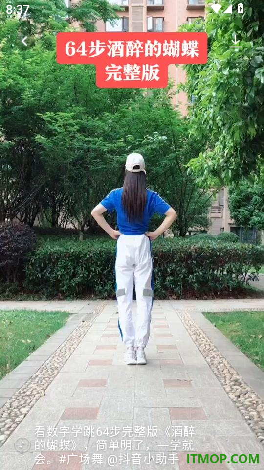 最爱广场舞最新版