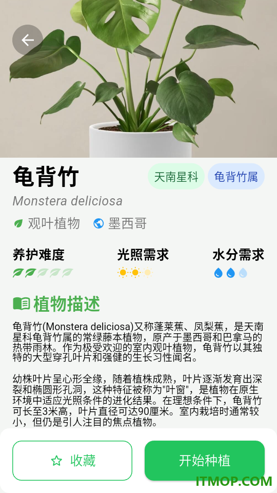 植迹最新版