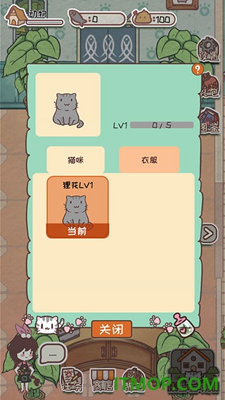 开心猫舍游戏