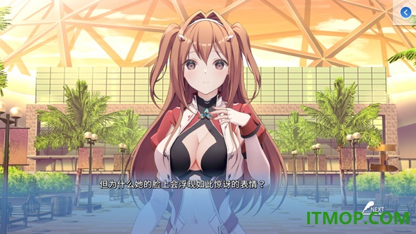 角色扮演之恋极乐公主游戏