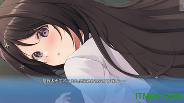 角色扮演之恋极乐公主游戏