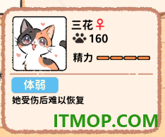 猫咖怪谈游戏