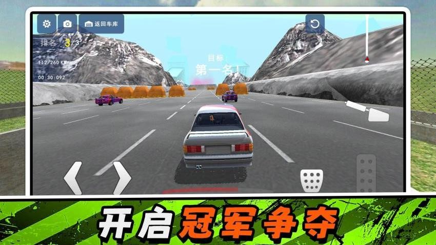 模拟驾驶达人游戏v2.0.2(2)