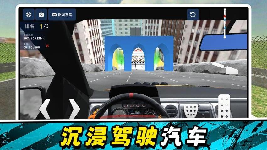 模拟驾驶达人游戏v2.0.2(1)