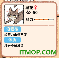 猫咖怪谈游戏