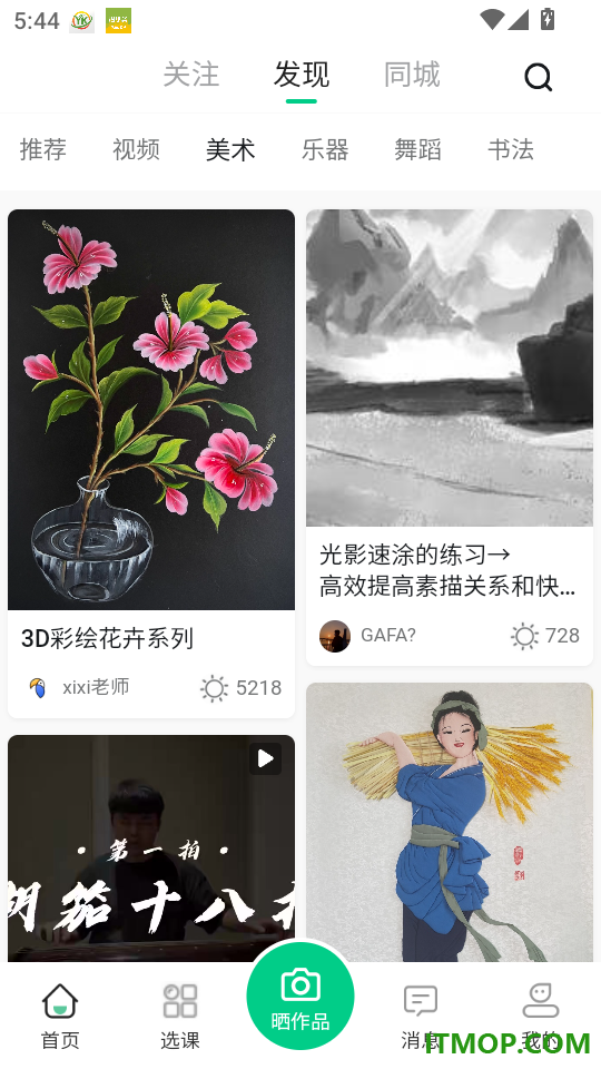 美鹦鹉官网版