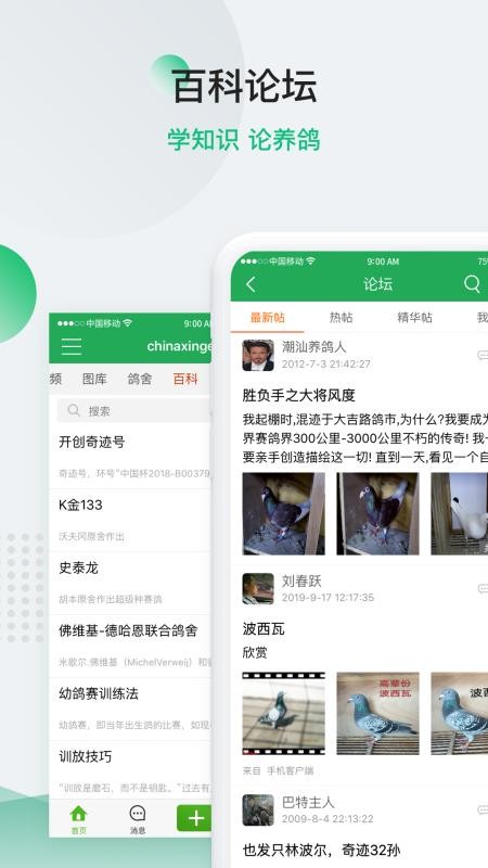 中国信鸽信息网app(1)