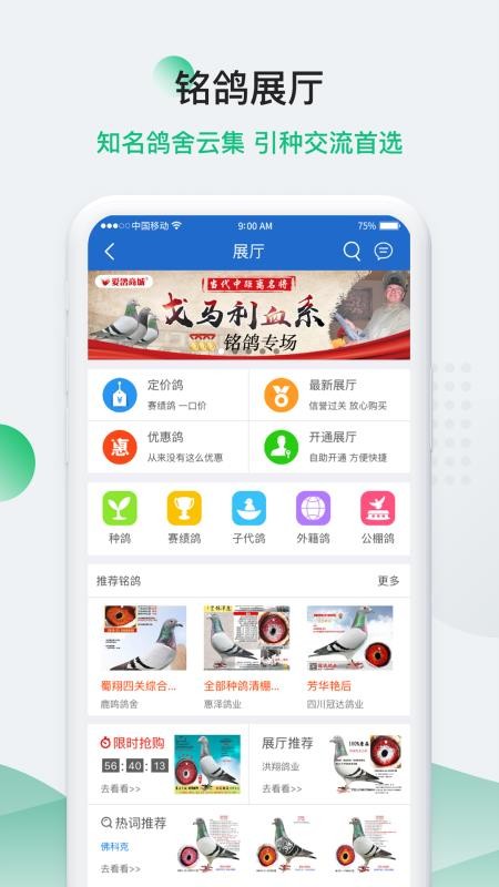 中国信鸽信息网app(4)