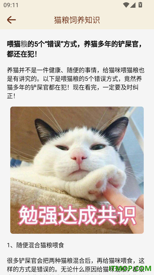 pata日常客户端