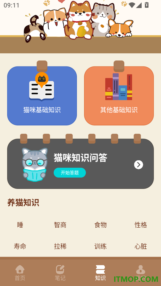 pata日常客户端