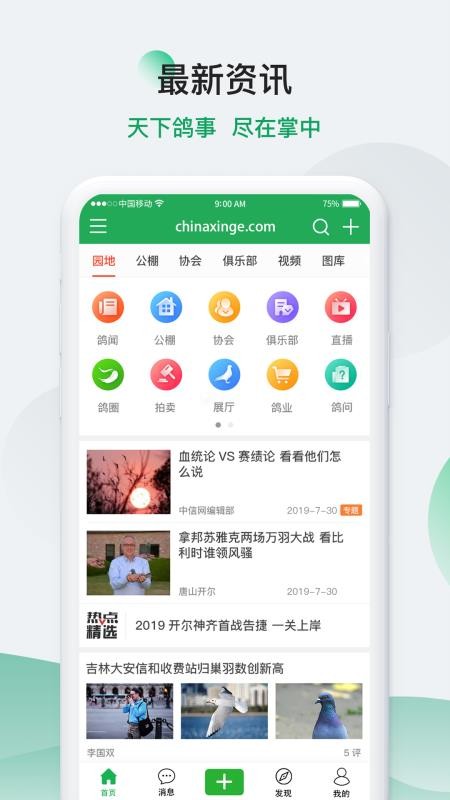 中国信鸽信息网app(3)