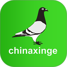 中国信鸽信息网app v20260910