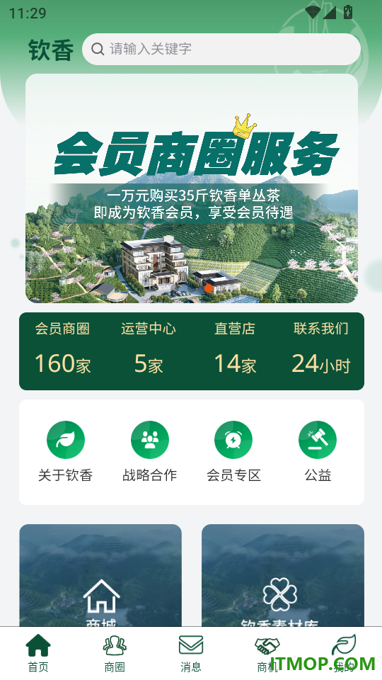 钦香最新版