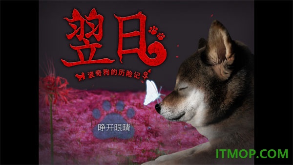翌日波奇狗的历险记手游