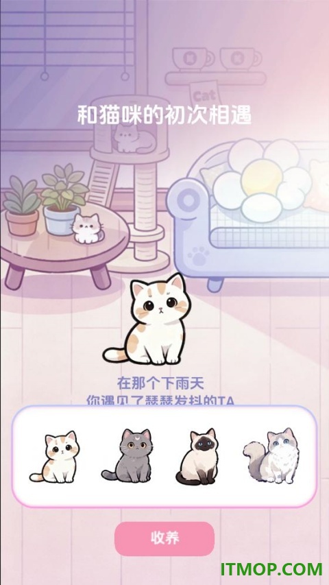 橘子小屋手游