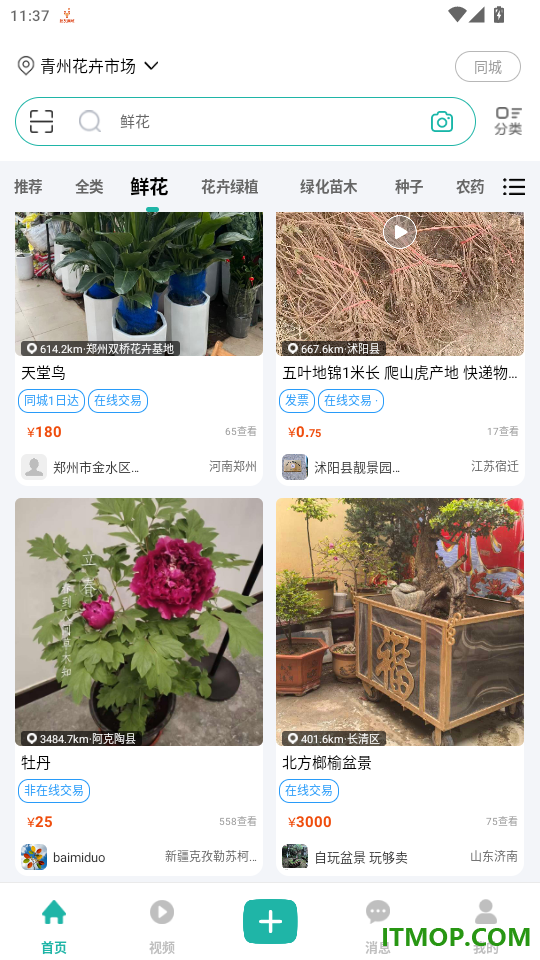 百易多官网版