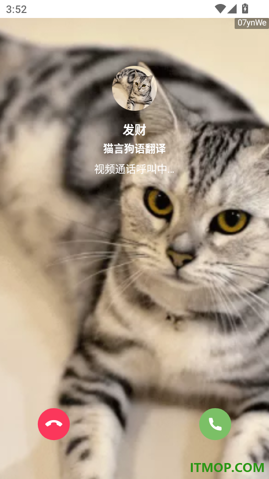 猫言狗语翻译免费版
