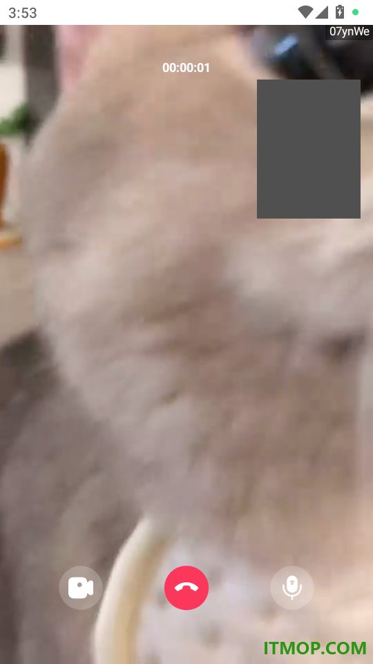 猫言狗语翻译免费版