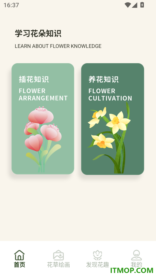 插花高手达人免费版
