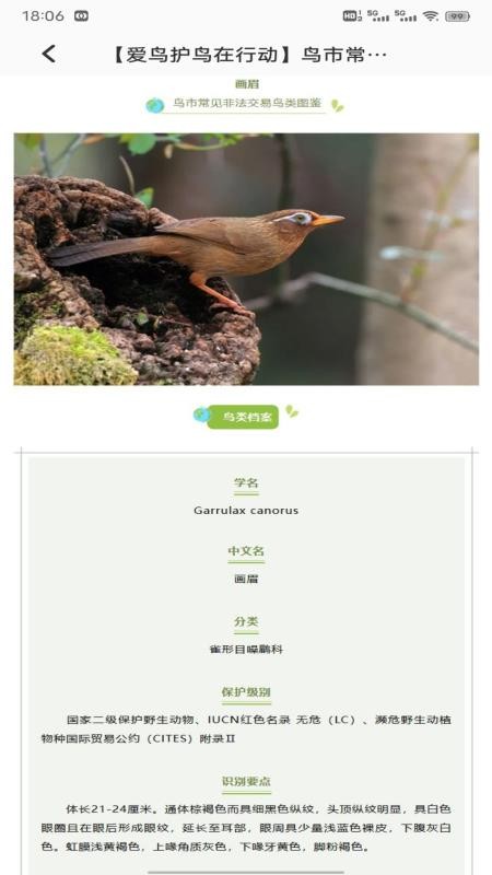 宠物乐园助手官网版v1.0.1(1)