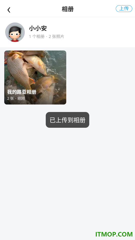 路亚之家最新版